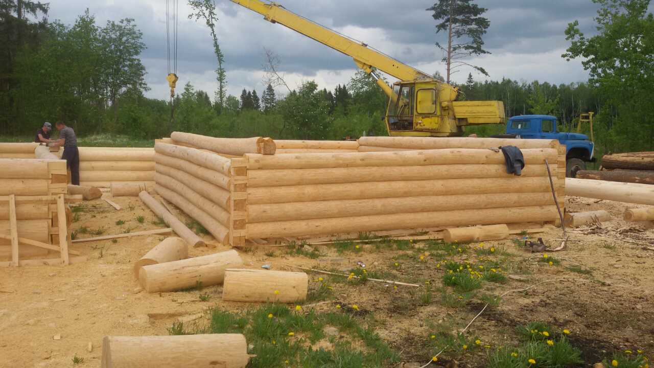 Срубы бань и домов дешево