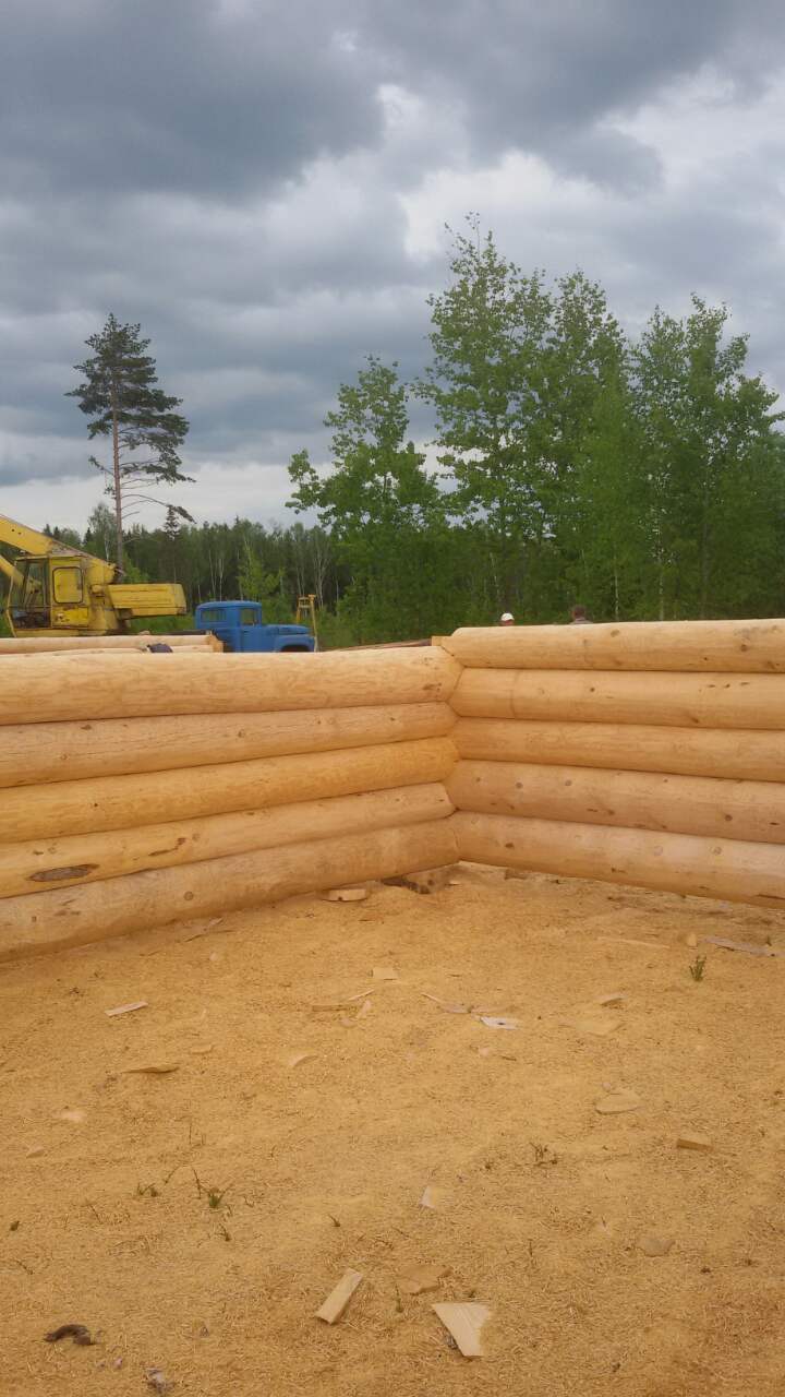 Срубы бань и домов дешево