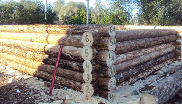 Срубы бань и домов дешево