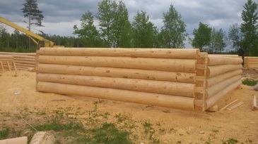 Срубы бань и домов дешево