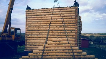 Срубы бань и домов дешево