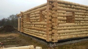 Срубы бань и домов дешево