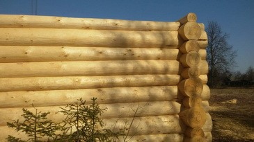Срубы бань и домов дешево
