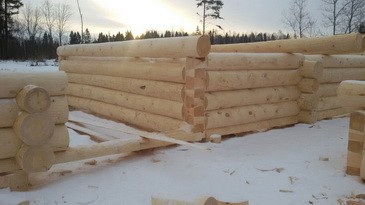 Срубы бань и домов дешево